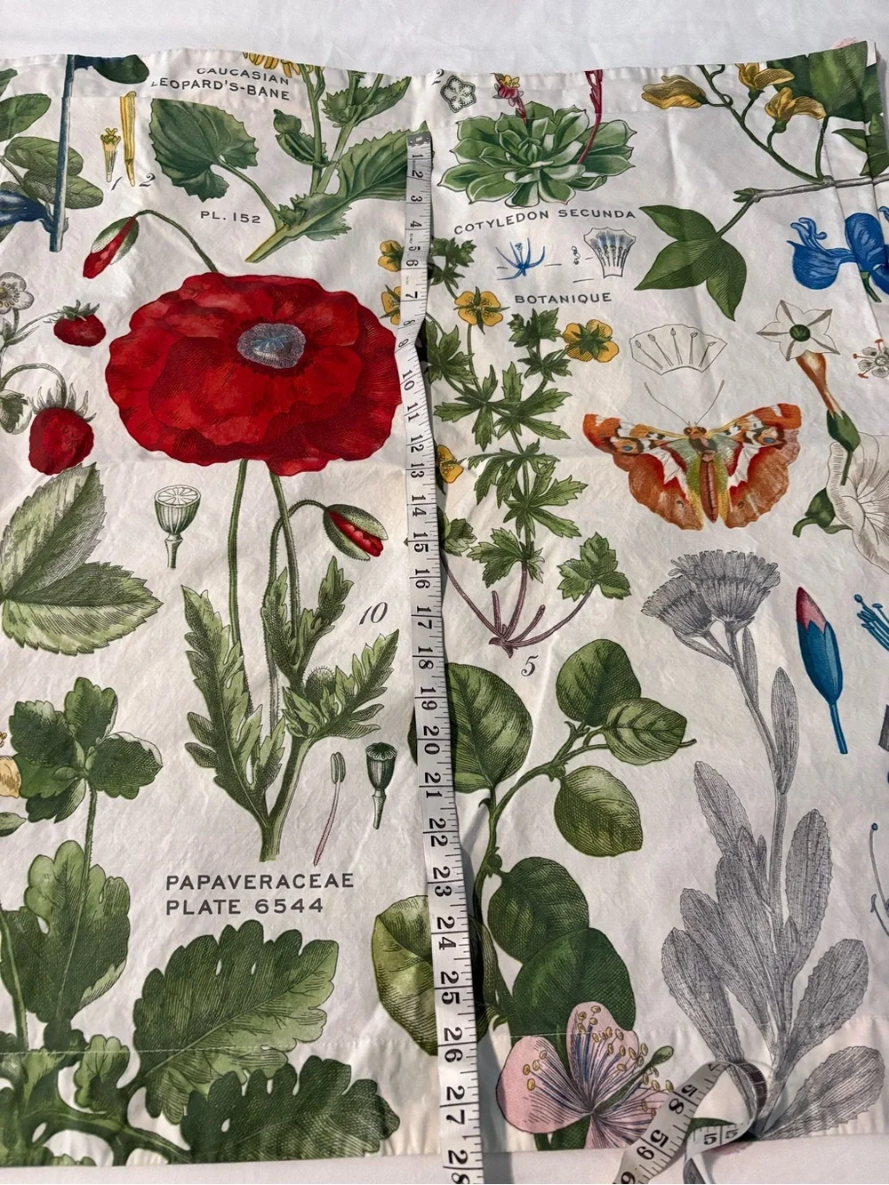 Pottery Barn King Duvet Botanical Print with 3 Euro Shams